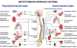 Синдром вегетативных дисфункций по симпатикотоническому типу
