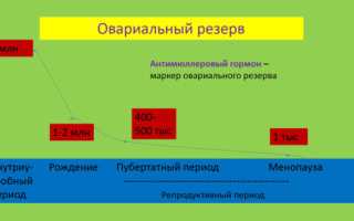 Синдром истощения яичников и эко